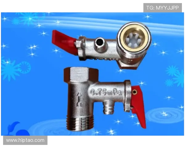 挖掘机管路防爆阀安装